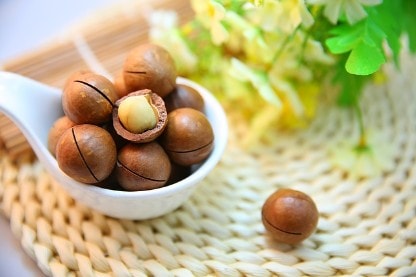 Macadamia Nüsse mit Schale in einer Schüssel